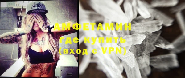 индика Ладушкин