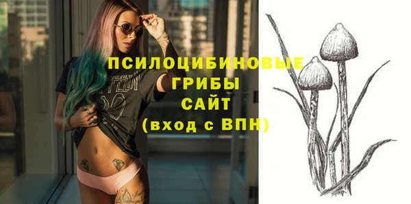 индика Ладушкин