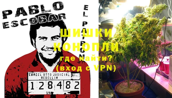 индика Ладушкин