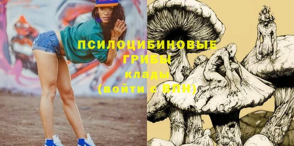 индика Ладушкин
