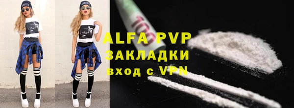индика Ладушкин