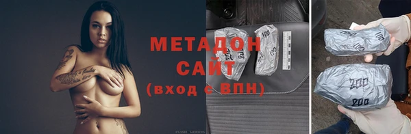 индика Ладушкин