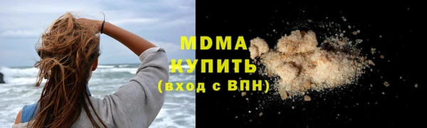 индика Ладушкин
