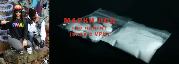 индика Ладушкин