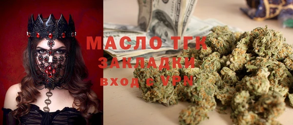 индика Ладушкин