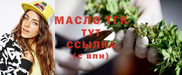 индика Ладушкин