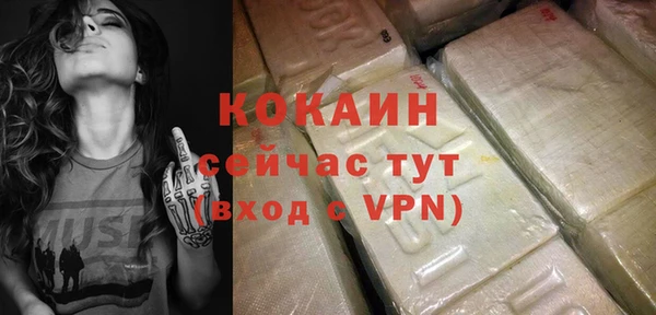 индика Ладушкин