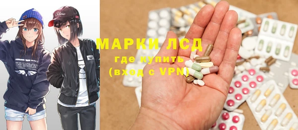 индика Ладушкин